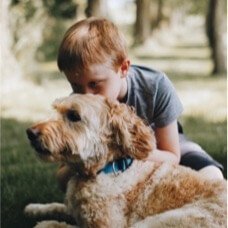 young boy and dog doing puppy training