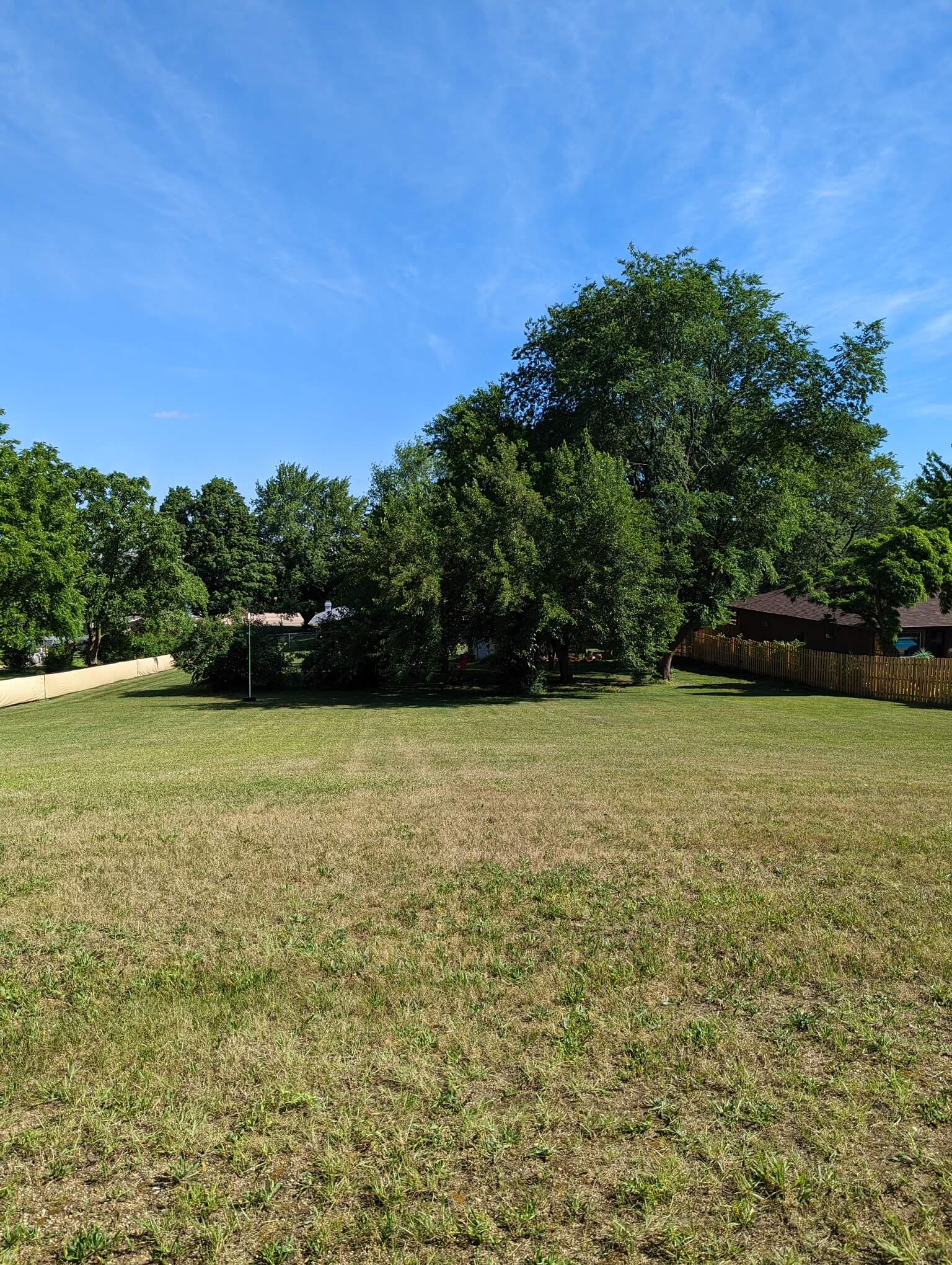 large yard with grass